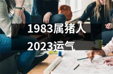 1983属猪人2025运气