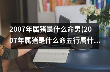 2007年属猪是什么命男(2007年属猪是什么命五行属什么)