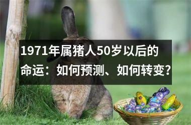 1971年属猪人50岁以后的命运：如何预测、如何转变？