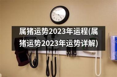 属猪运势2025年运程(属猪运势2025年运势详解)