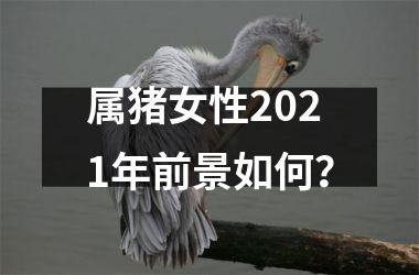 属猪女性2025年前景如何？