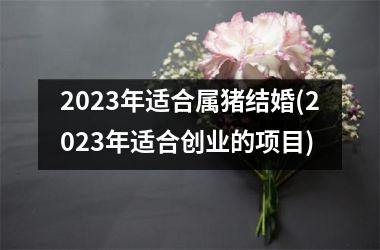 2025年适合属猪结婚(2025年适合创业的项目)