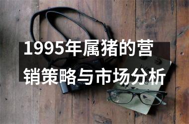 1995年属猪的营销策略与市场分析