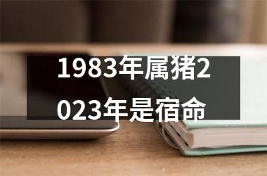 1983年属猪2025年是宿命