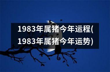 1983年属猪今年运程(1983年属猪今年运势)