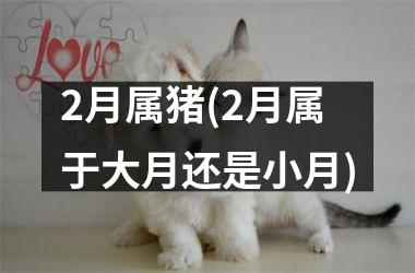 2月属猪(2月属于大月还是小月)