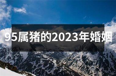 95属猪的2025年婚姻