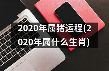 2025年属猪运程(2025年属什么生肖)