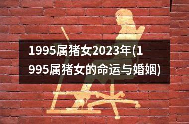 1995属猪女2025年(1995属猪女的命运与婚姻)