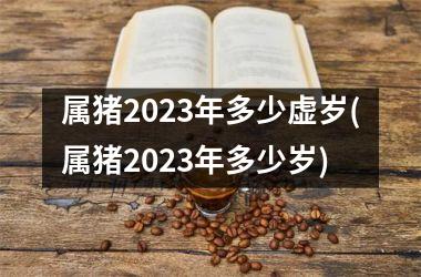 属猪2025年多少虚岁(属猪2025年多少岁)