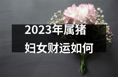 2025年属猪妇女财运如何