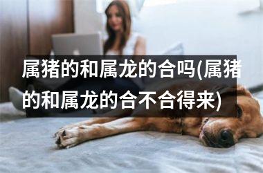 <h3>属猪的和属龙的合吗(属猪的和属龙的合不合得来)