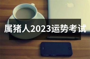 属猪人2025运势考试