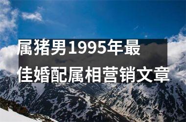 属猪男1995年佳婚配属相营销文章