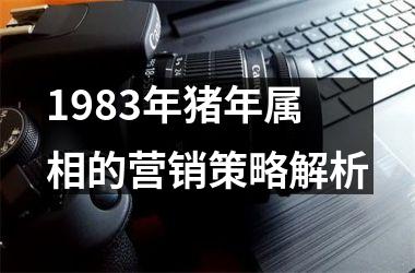 1983年猪年属相的营销策略解析