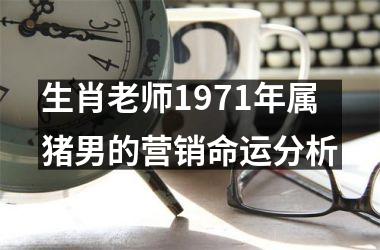 生肖老师1971年属猪男的营销命运分析