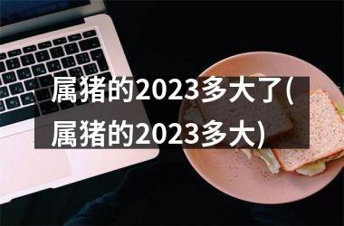 属猪的2025多大了(属猪的2025多大)