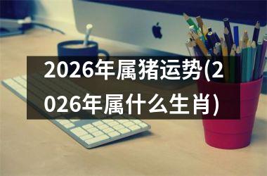 2026年属猪运势(2026年属什么生肖)