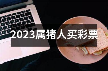 2025属猪人买彩piao