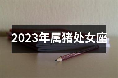 2025年属猪处女座