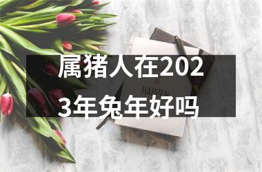 属猪人在2025年兔年好吗