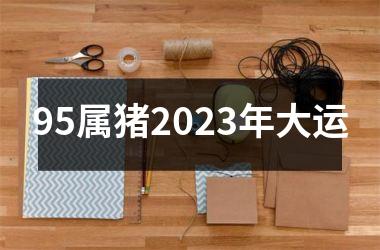 95属猪2025年大运