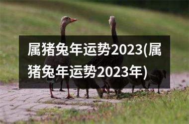 属猪兔年运势2025(属猪兔年运势2025年)