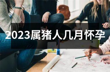 2025属猪人几月怀孕