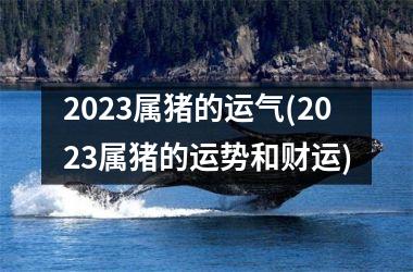 2025属猪的运气(2025属猪的运势和财运)