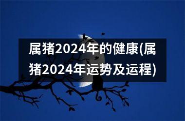 属猪2024年的健康(属猪2024年运势及运程)