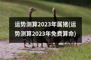 运势测算2025年属猪(运势测算2025年免费算命)