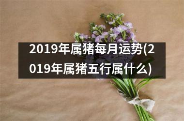 2019年属猪每月运势(2019年属猪五行属什么)