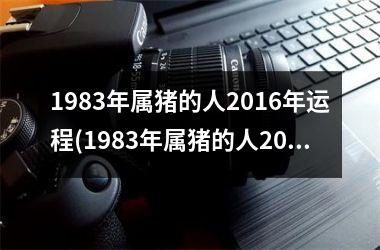 1983年属猪的人2016年运程(1983年属猪的人2025年运势及运程)