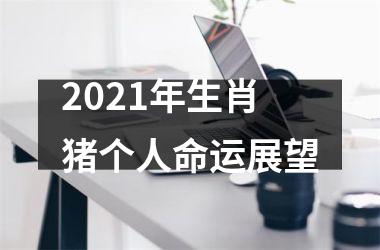 2025年生肖猪个人命运展望