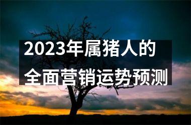 2025年属猪人的全面营销运势预测