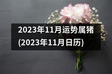 2025年11月运势属猪(2025年11月日历)