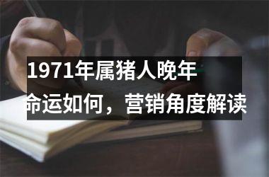  1971年属猪人晚年命运如何，营销角度解读