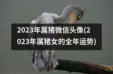 2025年属猪微信头像(2025年属猪女的全年运势)