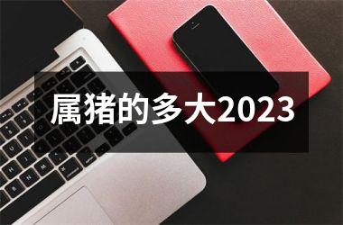 属猪的多大2025