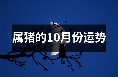 属猪的10月份运势