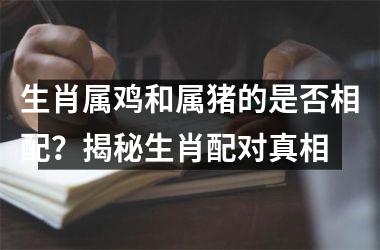 生肖属鸡和属猪的是否相配？揭秘生肖配对真相