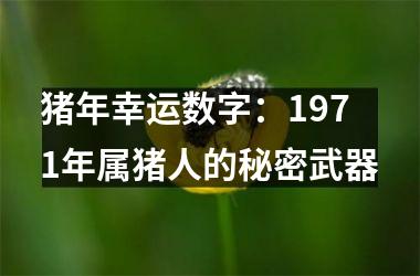 猪年幸运数字：1971年属猪人的秘密武器