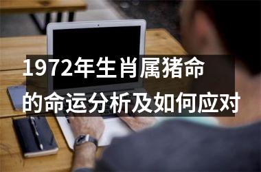 <h3>1972年生肖属猪命的命运分析及如何应对