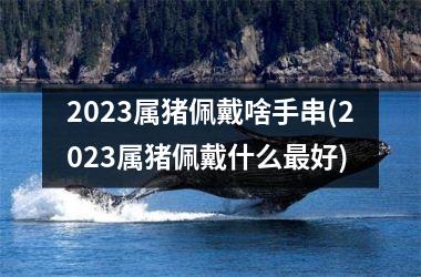 2025属猪佩戴啥手串(2025属猪佩戴什么好)