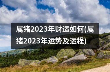 <h3>属猪2025年财运如何(属猪2025年运势及运程)