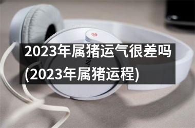 2025年属猪运气很差吗(2025年属猪运程)