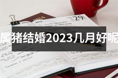 属猪结婚2025几月好呢