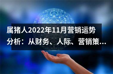 属猪人2025年11月营销运势分析：从财务、人际、营销策略与执行方面探讨