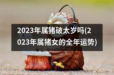 2025年属猪破太岁吗(2025年属猪女的全年运势)