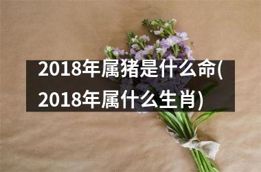 2018年属猪是什么命(2018年属什么生肖)